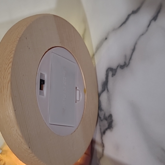 Beauty and the beast rose with lights - Picture 4 of 5